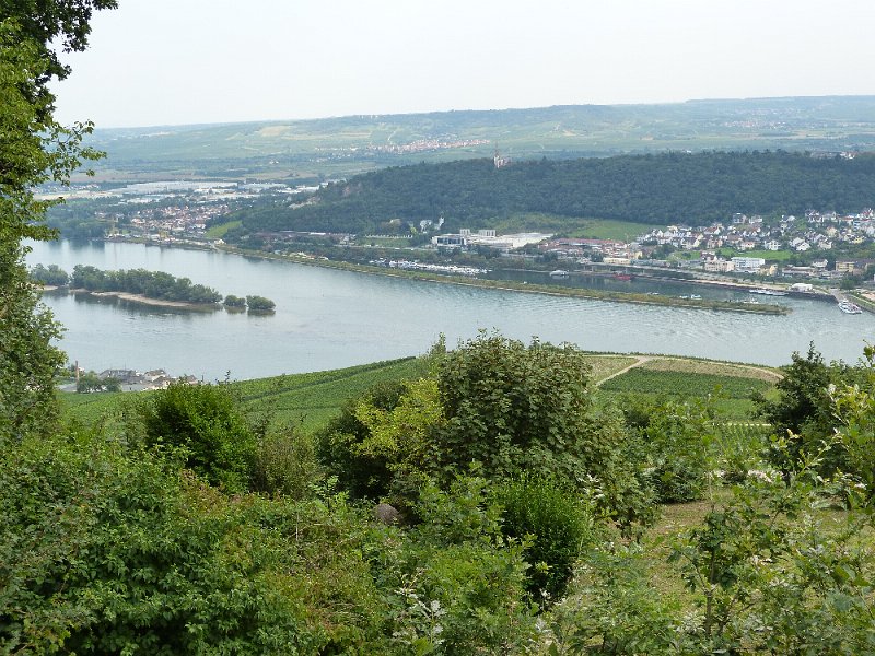 2017-08-25 14-41-57-87-BS.jpg -    Foto: Bernd Sewing  